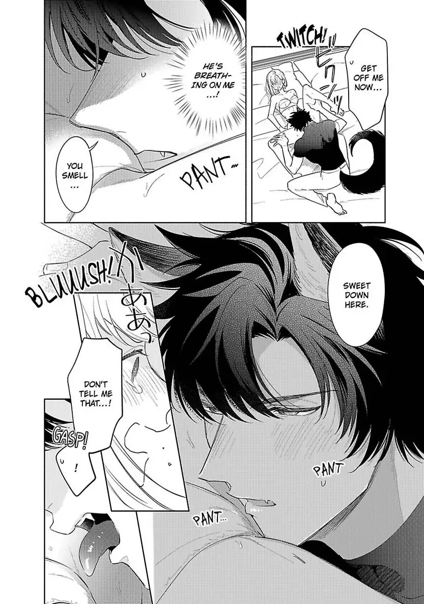 Ookami Kishi-sama ga Watashi wo Sukisugite Sotobori wo Umete Kimasu!? - Dekasegi Reijou Kekkon Monogatari Chapter 2 page 7 - 