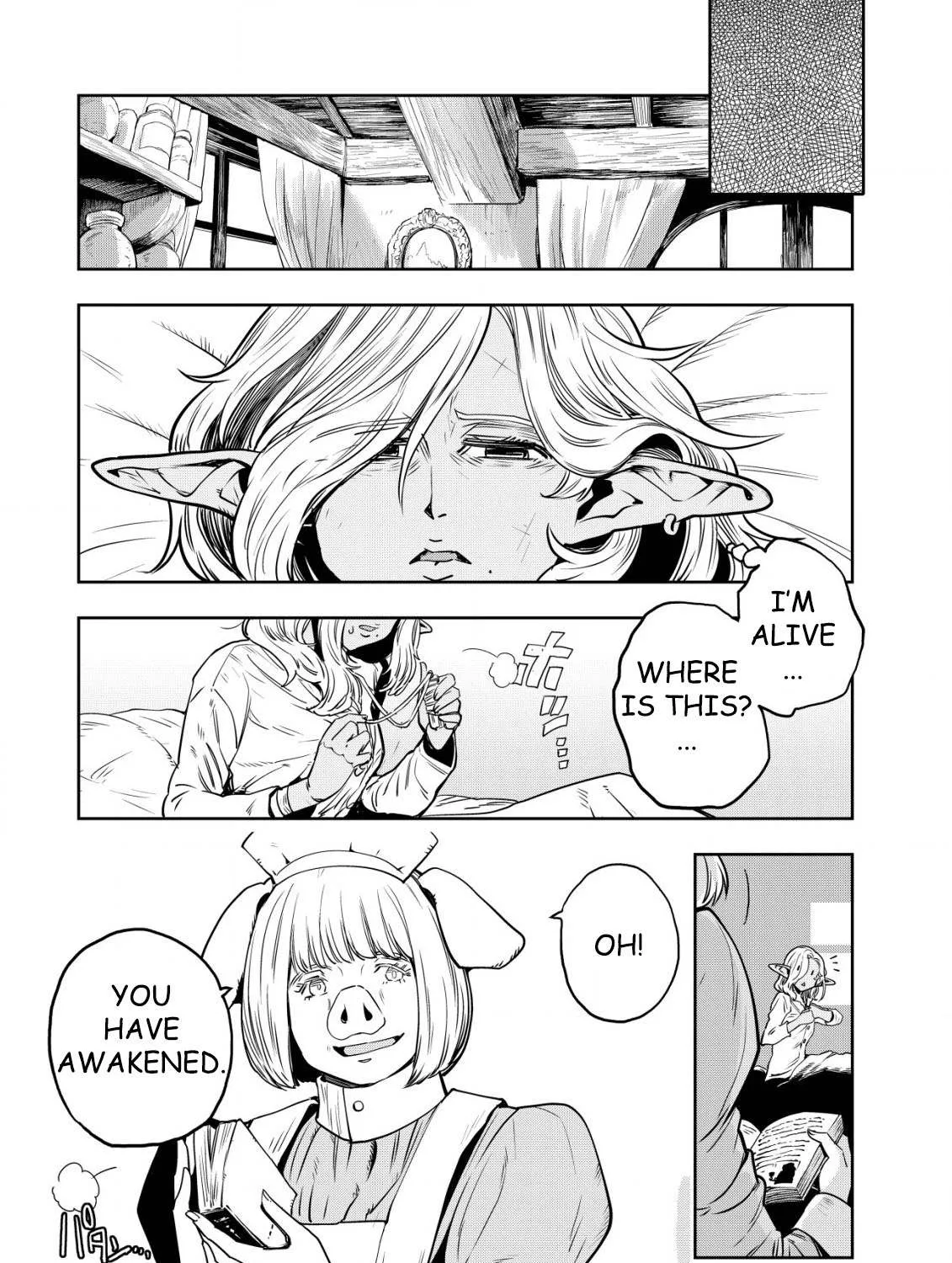 Orcsen Oukokushi  Yaban Na Ooku No Kuni Wa, Ikanishite Heiwa Na Elf No Kuni Wo Yakiharau Ni Itatta Ka Chapter 1 page 48 - 