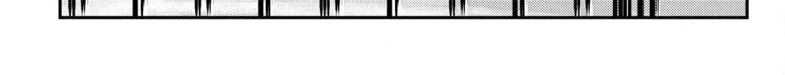 Orcsen Oukokushi  Yaban Na Ooku No Kuni Wa, Ikanishite Heiwa Na Elf No Kuni Wo Yakiharau Ni Itatta Ka Chapter 6 page 113 - 