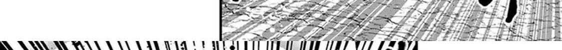 Ore wa Mada, Honki o Dashite Inai Chapter 2 page 36 - 