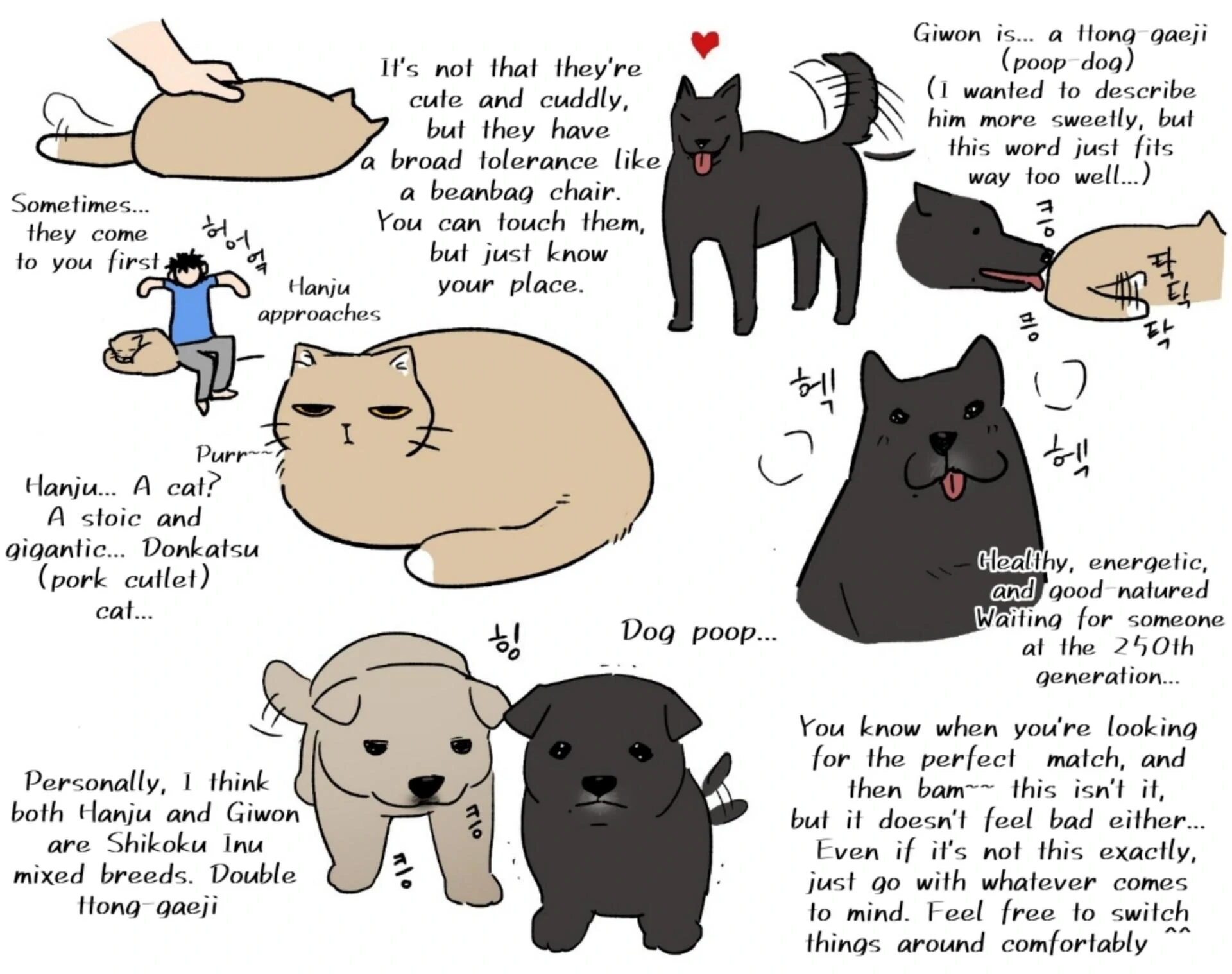 Origin Of Rite Chapter 22 page 64 - 
