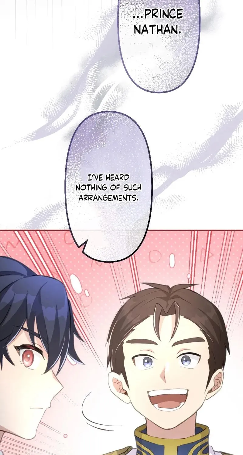 Osanai Akujo wa Subete o Mitousu Chapter 27 page 35 - 