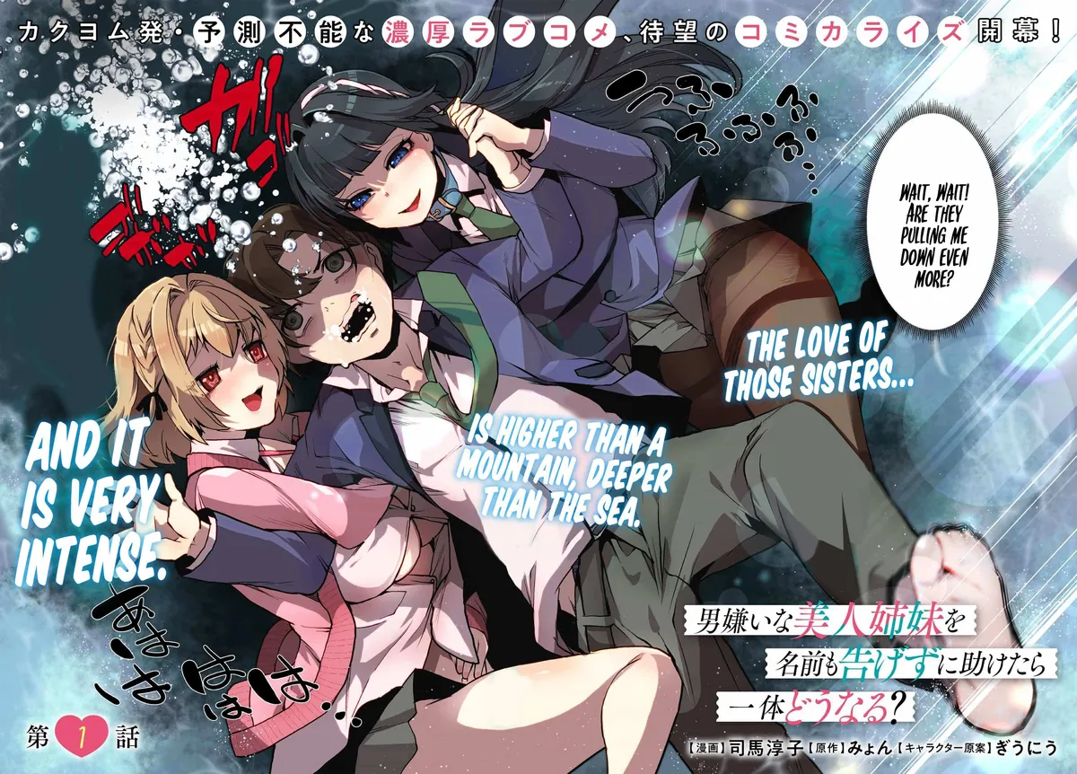 Otoko Girai na Bijin Shimai wo Namae mo Tsugezu ni Tasuketara Ittai Dounaru? Chapter 1 page 3 - 