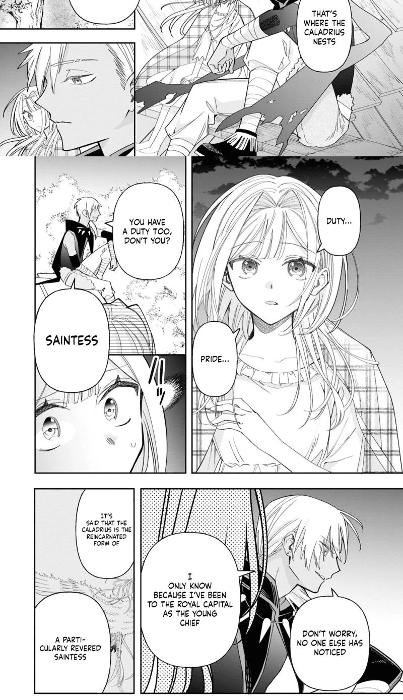 Otsukare Seijo wa Goei Kishi to Toubou Seikatsu wo Mankitsu suru ~Kondo wa Seijo wo Yamete Mimasu!~ Chapter 3 page 28 - 