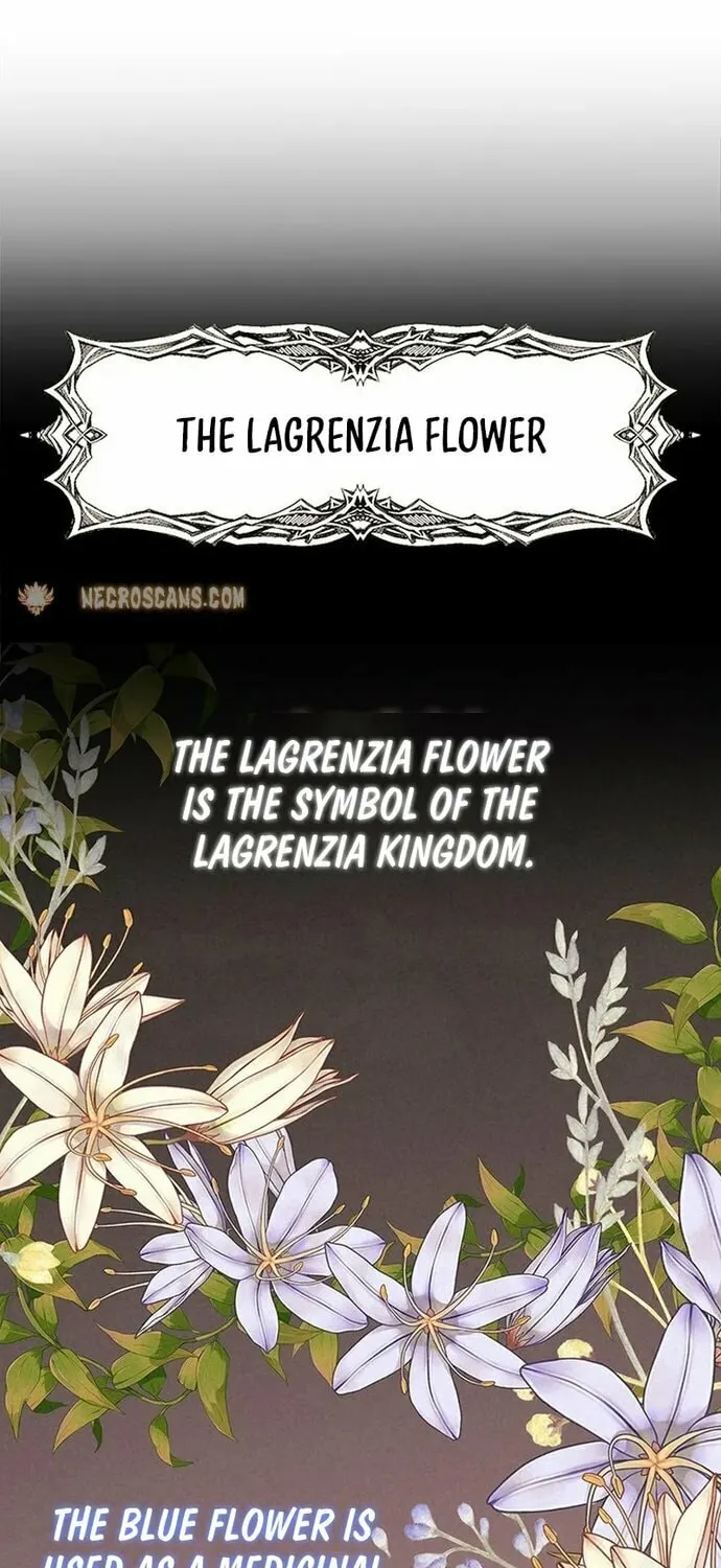 Our Majesty Has Changed Chapter 1 page 29 - 