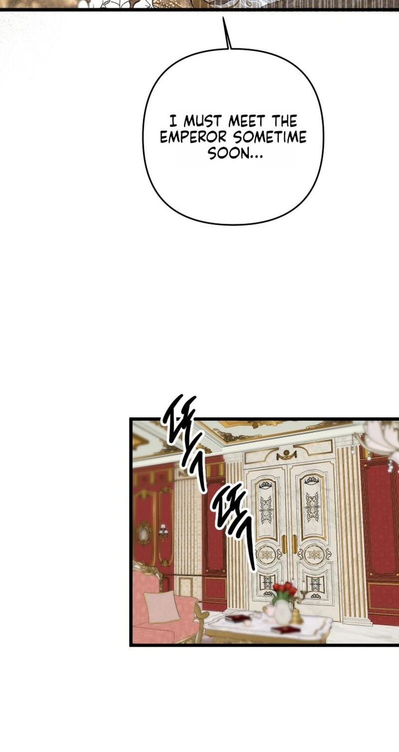 Our Majesty Has Changed Chapter 31 page 62 - 