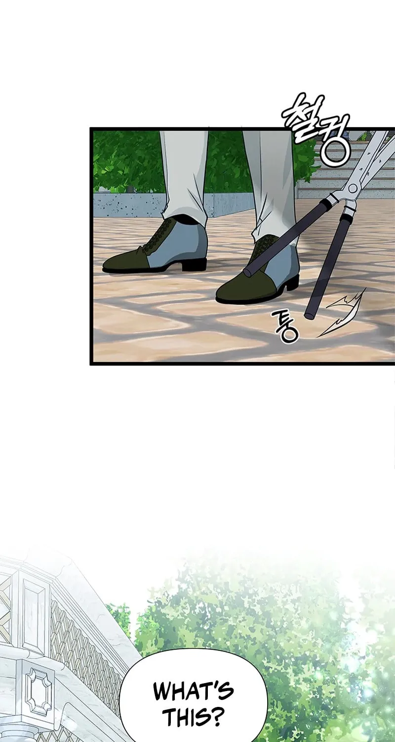 Our Majesty Has Changed Chapter 6 page 74 - 