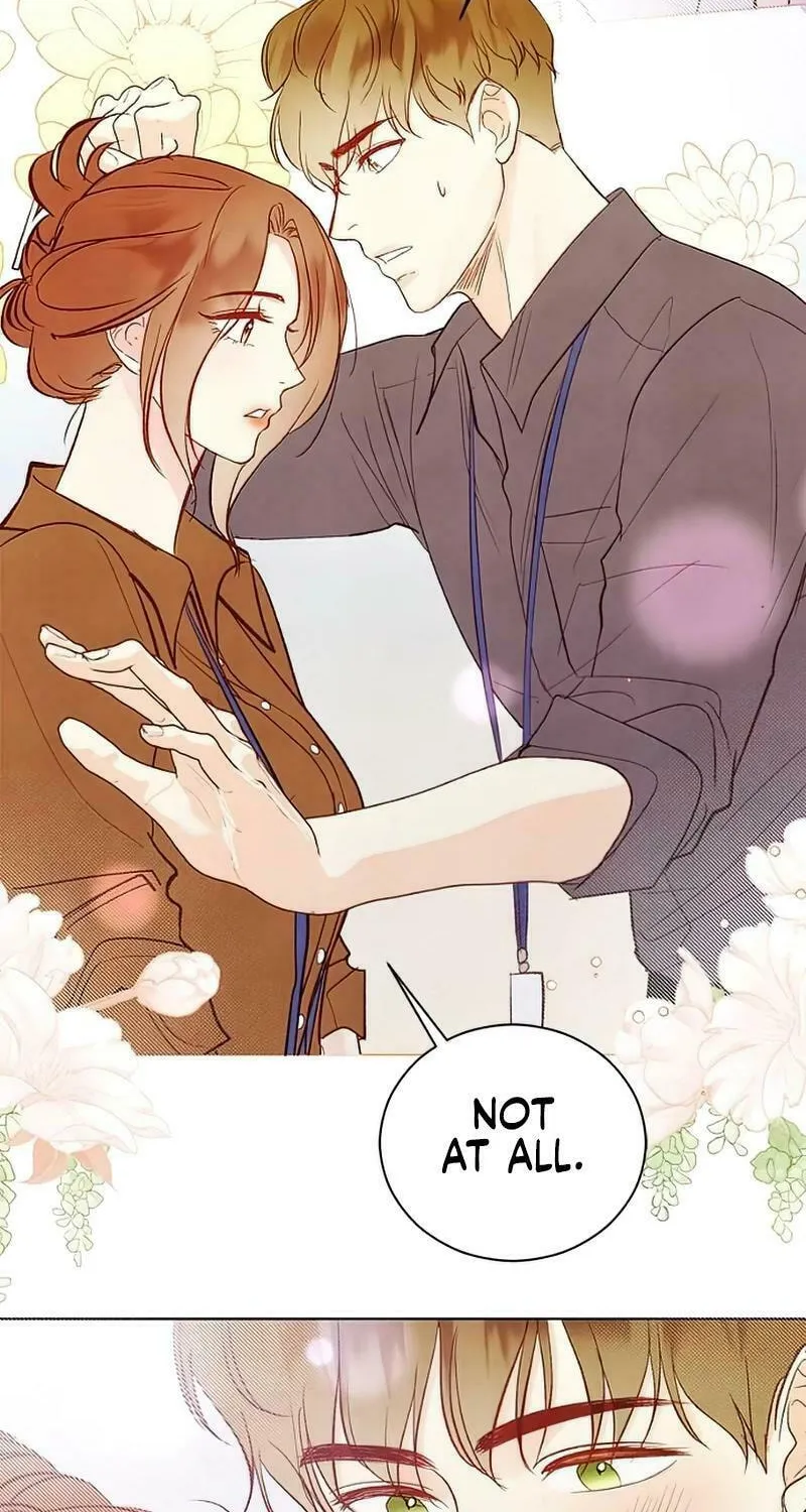 Our Secret Marriage Chapter 17 page 17 - 