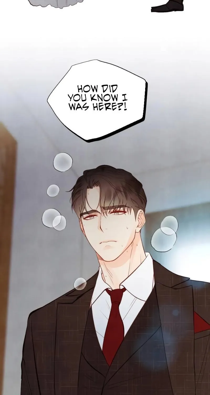 Our Secret Marriage Chapter 27 page 64 - 