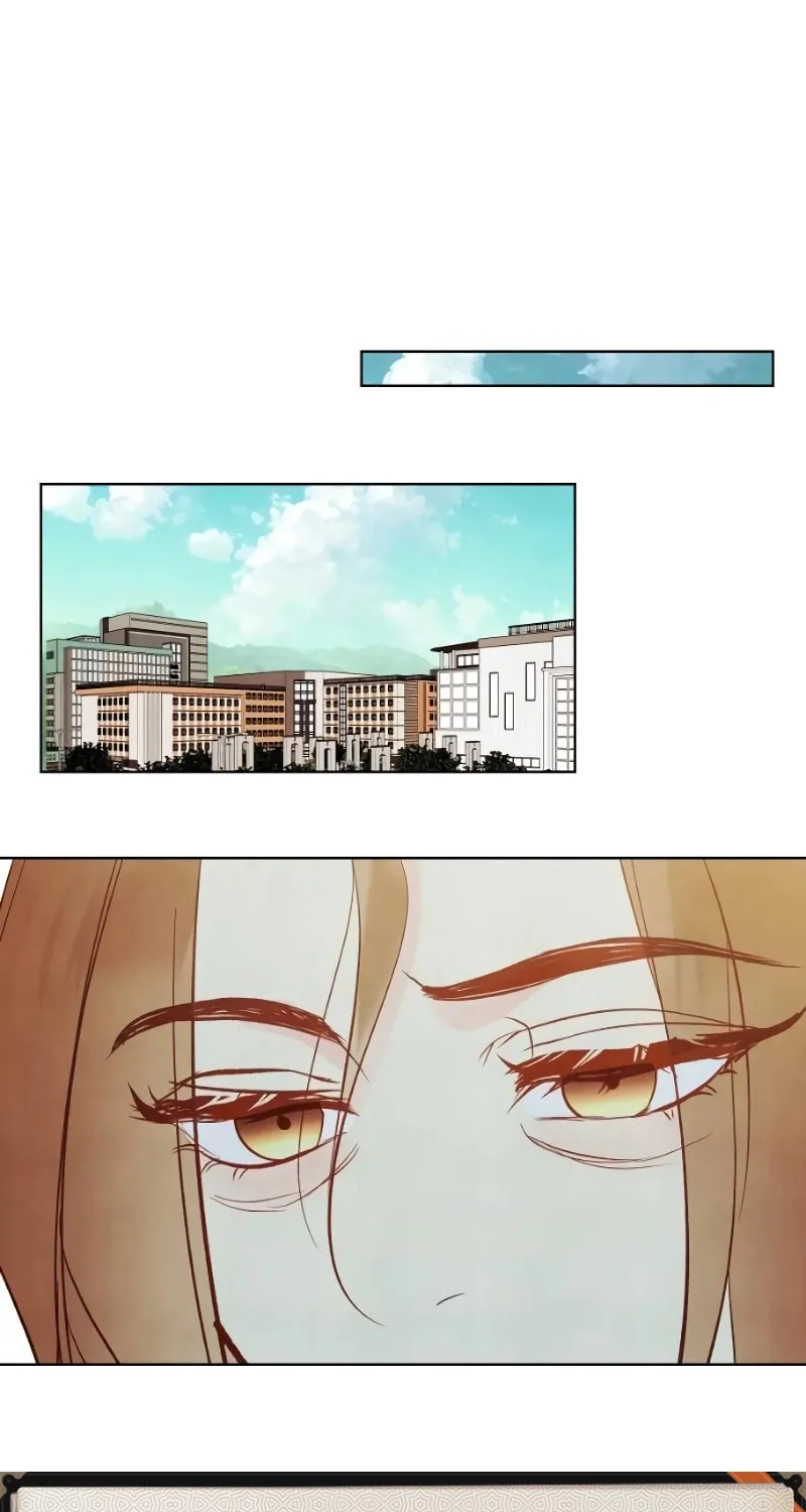 Our Secret Marriage Chapter 28 page 33 - 