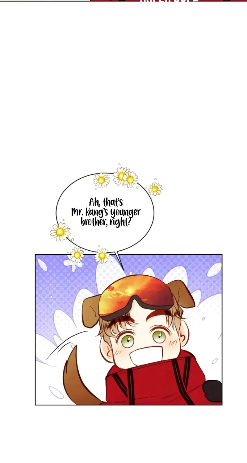 Our Secret Marriage Chapter 36 page 13 - 