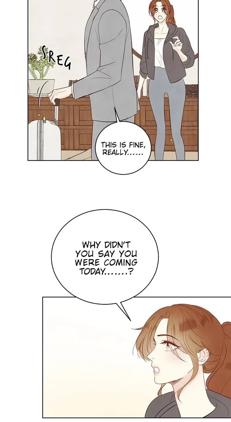 Our Secret Marriage Chapter 7 page 28 - 