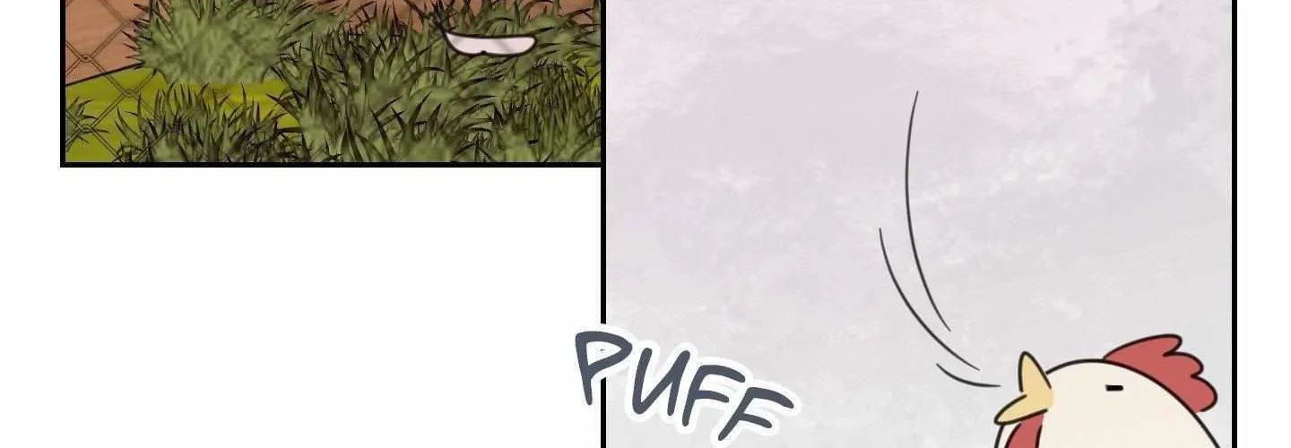 Our Sunny Days Chapter 63 page 6 - 