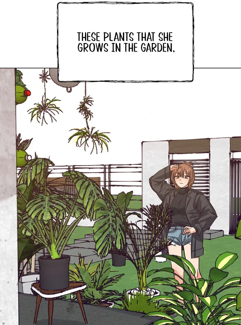 Painted Lady Chapter 1 page 14 - 