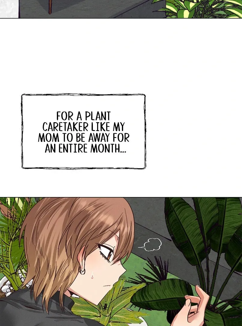 Painted Lady Chapter 1 page 15 - 