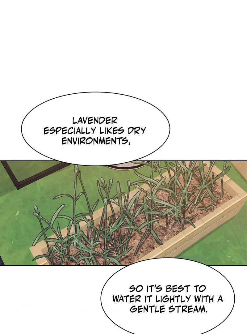 Painted Lady Chapter 1 page 53 - 