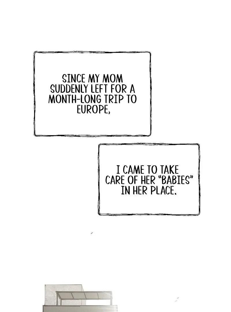 Painted Lady Chapter 1 page 9 - 