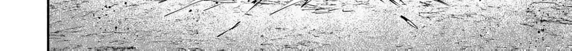 [Pakupaku desu wa] Tsuihousareta Ojou-sama no "Monster wo Taberu Hodo Tsuyoku Naru" Skill wa, 1-shoku de 1 Level Up suru Zendaimimon no Saikyou Skill deshita. 3-nichi de Jinrui Saikyou ni narimashita wa~! Chapter 14 page 46 - 