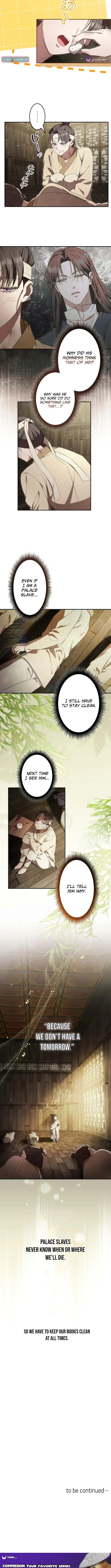 Palace Slave: The Captive Flower Chapter 8 page 8 - 