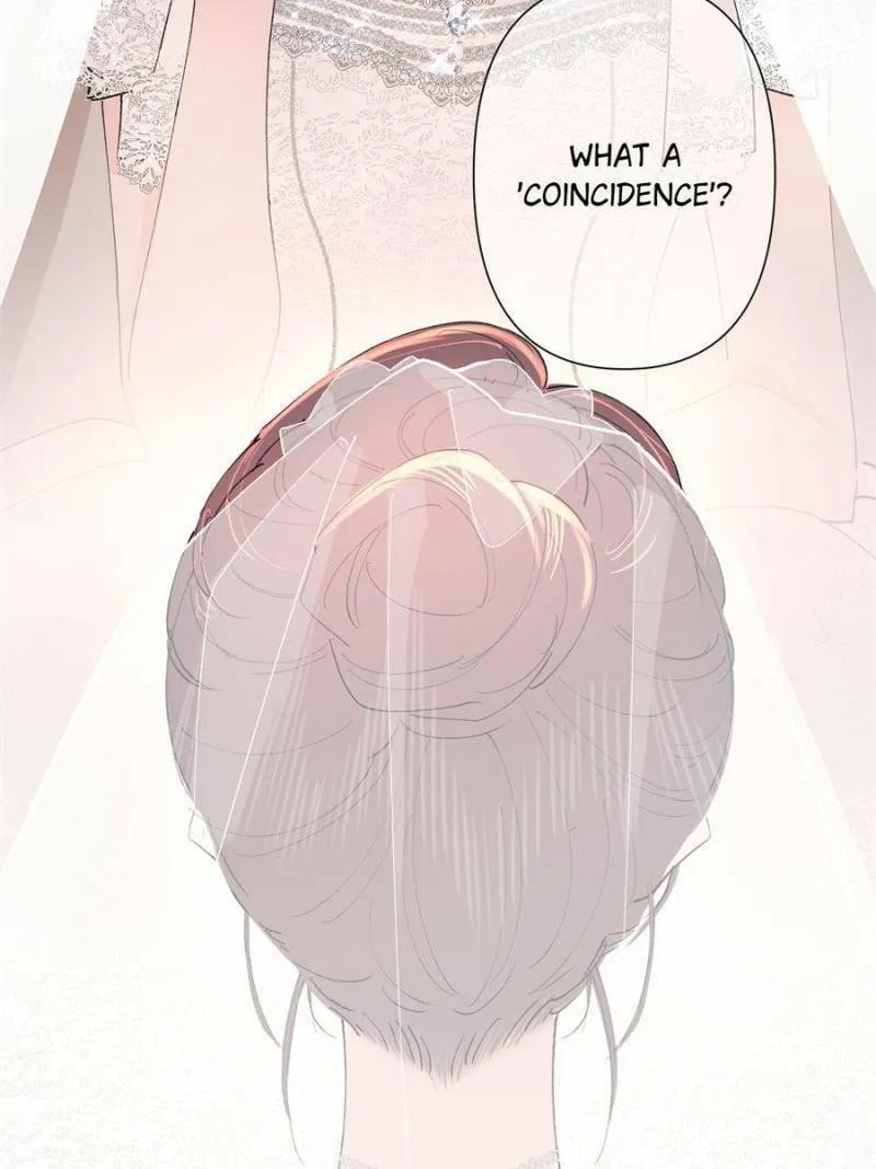Pampering My Beast Commander Chapter 1 page 38 - 