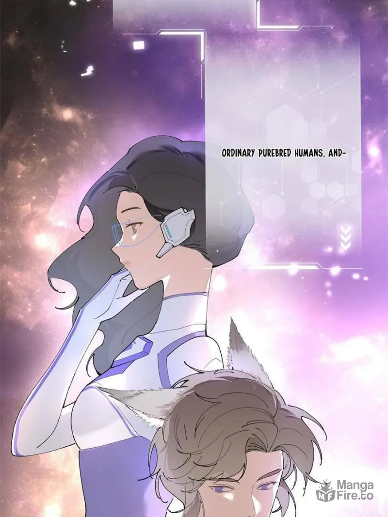 Pampering My Beast Commander Chapter 1 page 6 - 