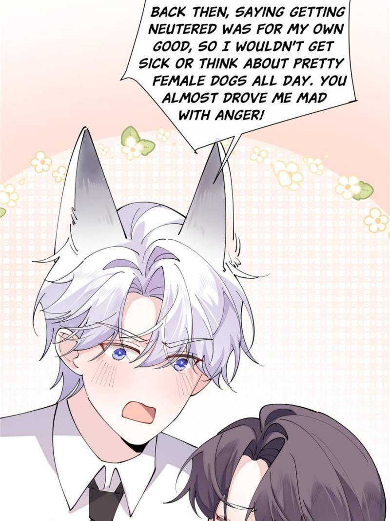 Pampering My Beast Commander Chapter 152 page 8 - 