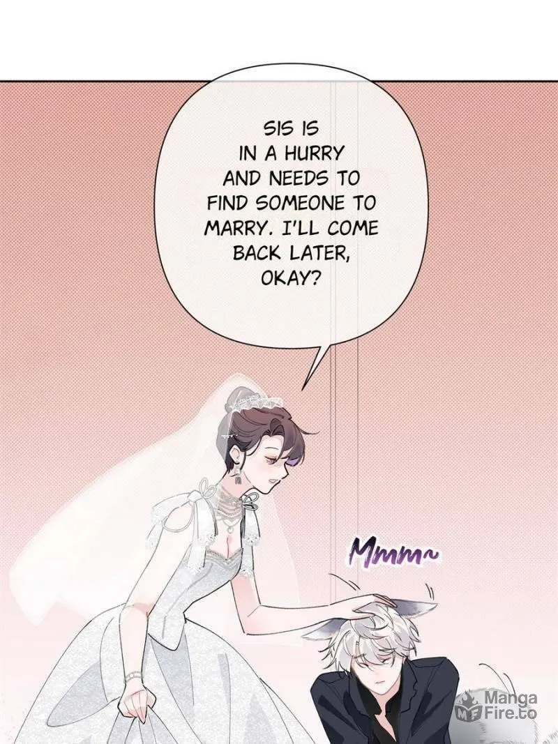 Pampering My Beast Commander Chapter 2 page 21 - 