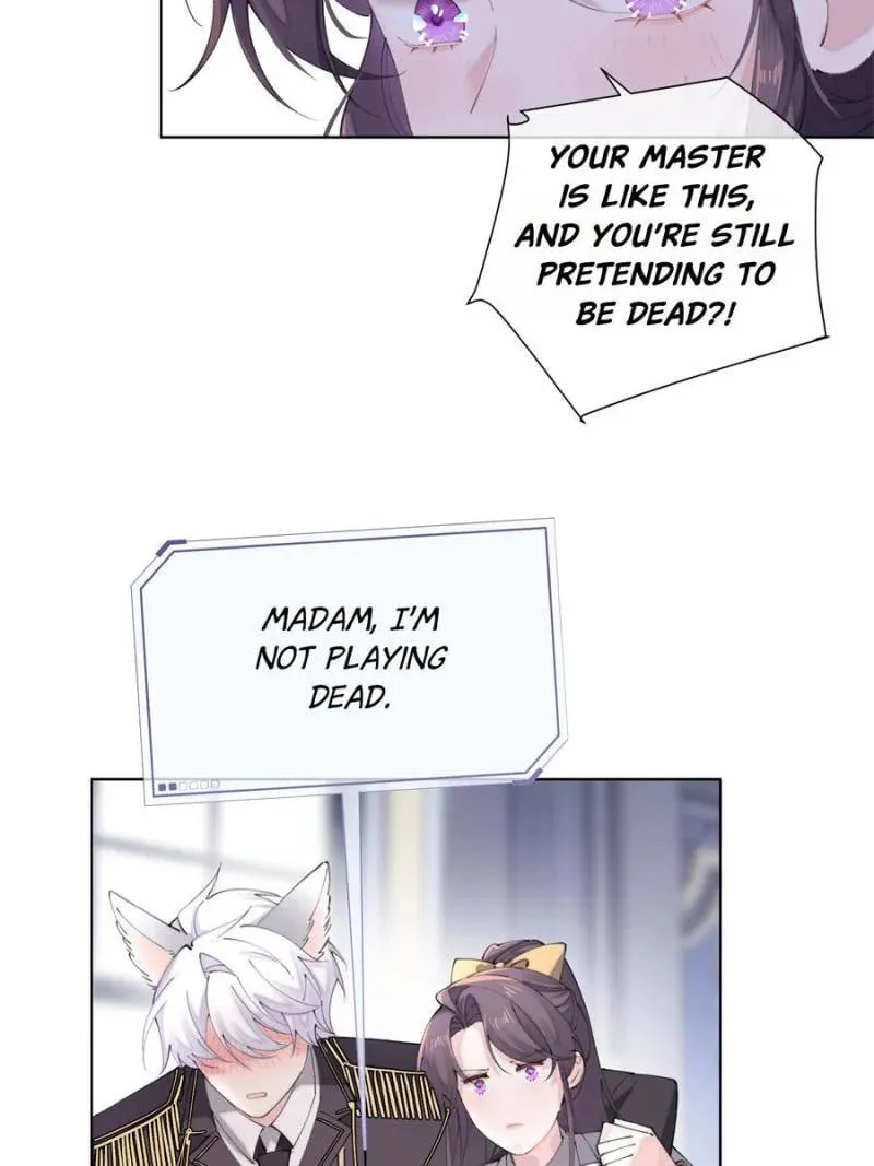 Pampering My Beast Commander Chapter 21 page 37 - 