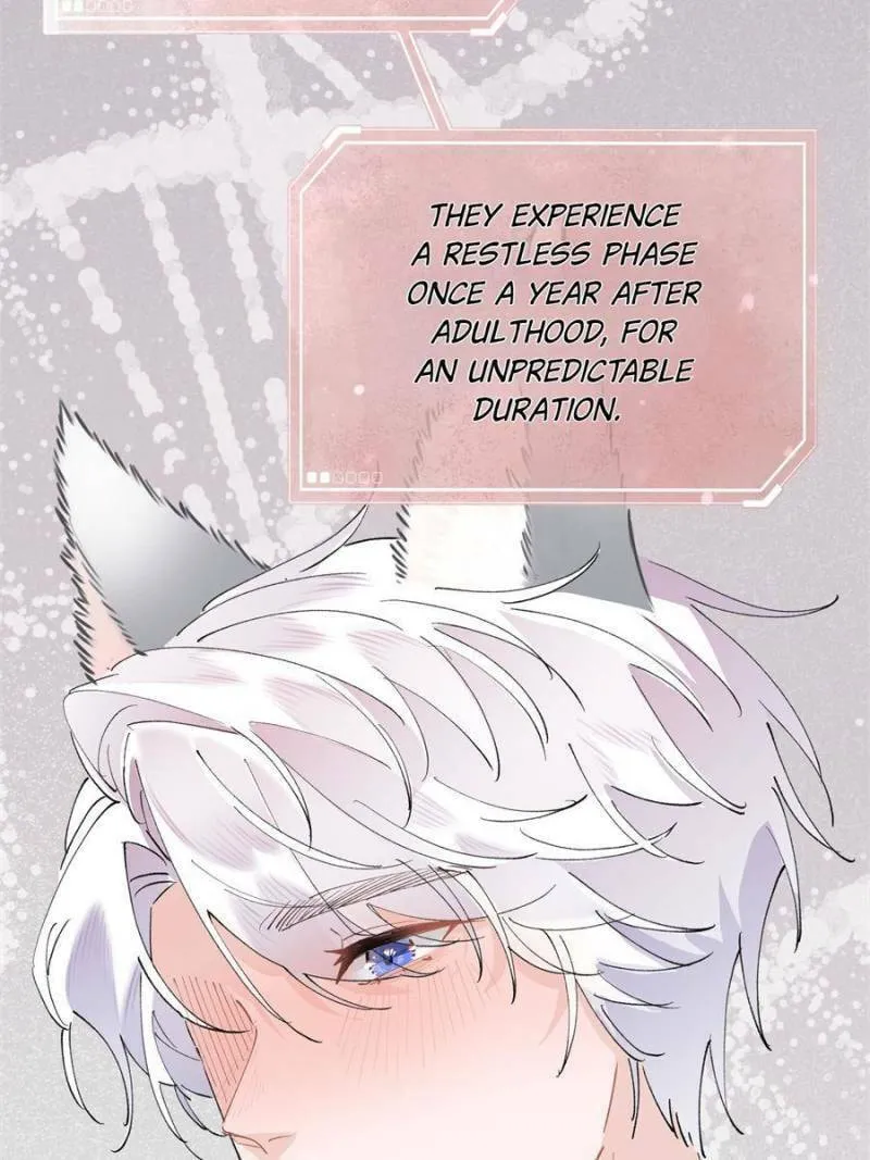 Pampering My Beast Commander Chapter 4 page 23 - 
