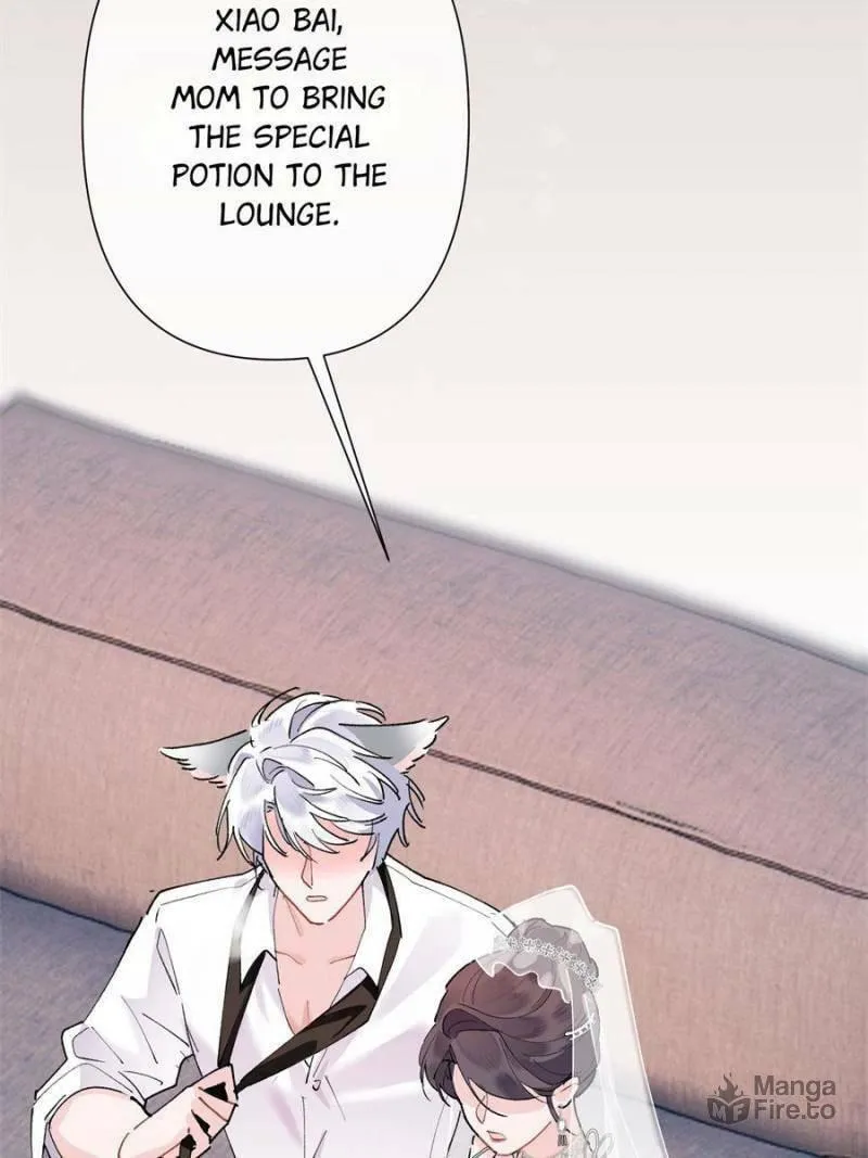 Pampering My Beast Commander Chapter 4 page 66 - 