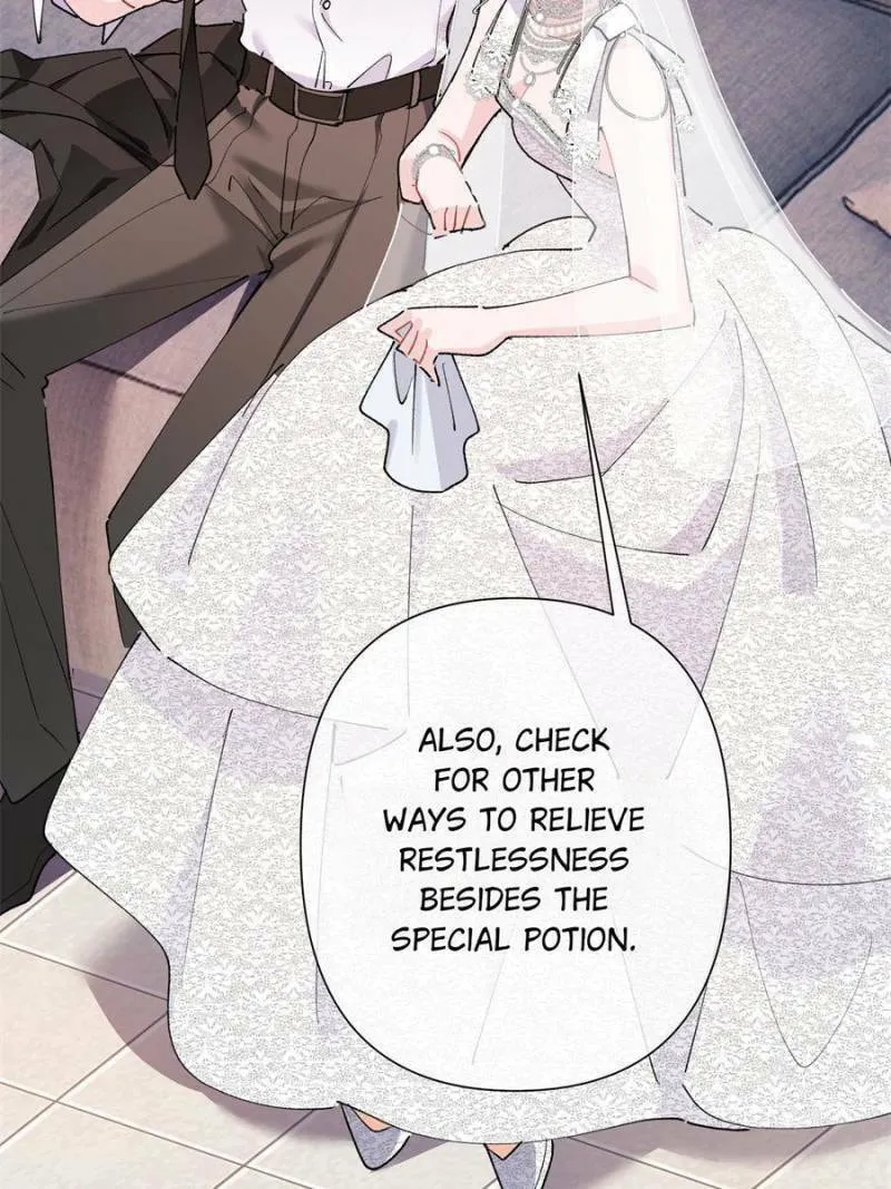 Pampering My Beast Commander Chapter 4 page 67 - 