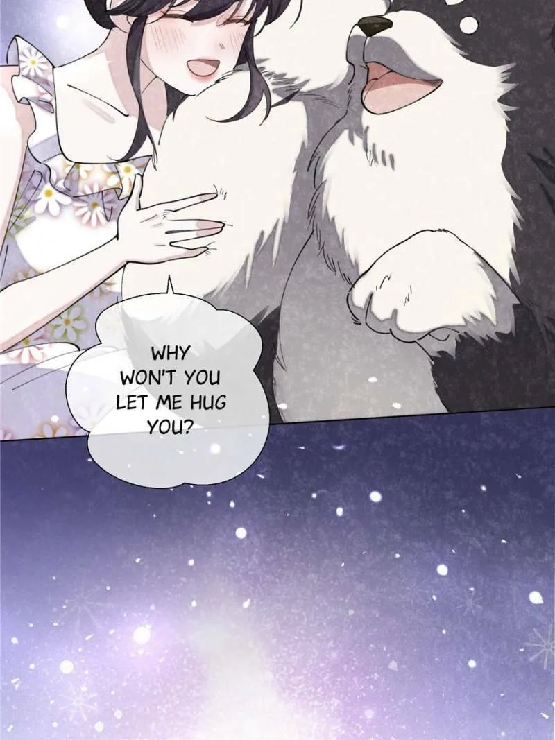 Pampering My Beast Commander Chapter 40 page 19 - 