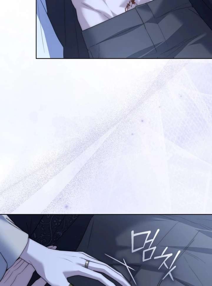 Paradisus Valentinae Chapter 14 page 137 - 