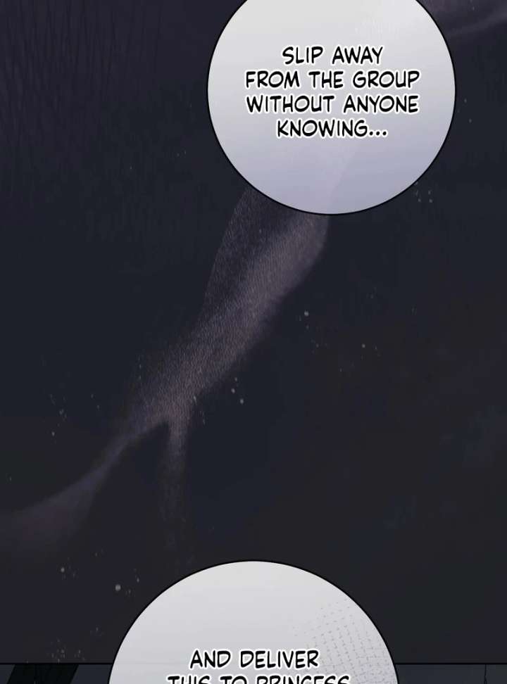 Paradisus Valentinae Chapter 14 page 69 - 