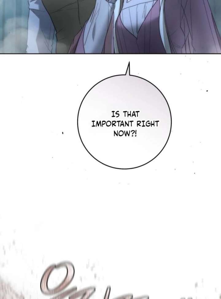 Paradisus Valentinae Chapter 17 page 84 - 