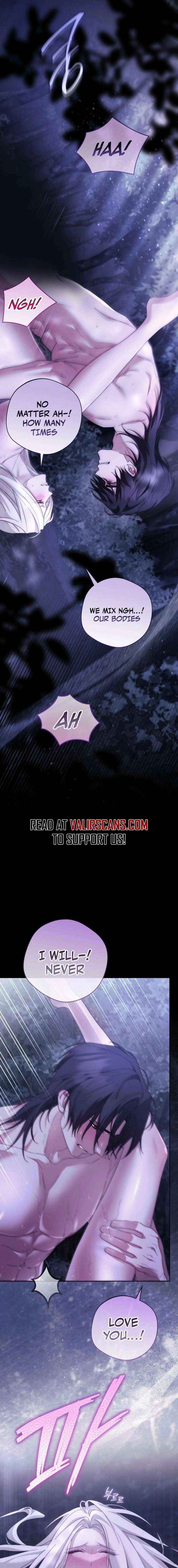 Paradisus Valentinae Chapter 29 page 17 - 