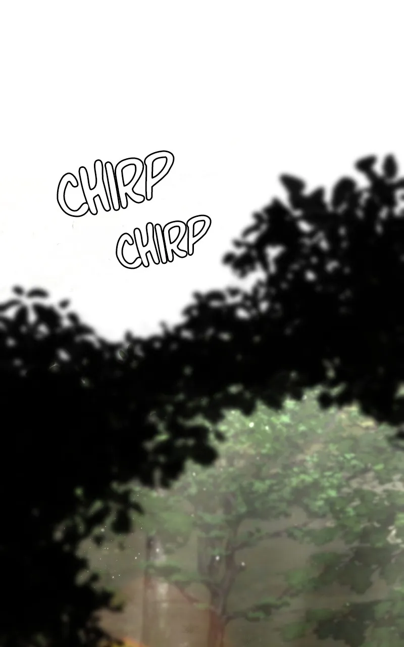 Paranoid Mage Chapter 43 page 1 - 