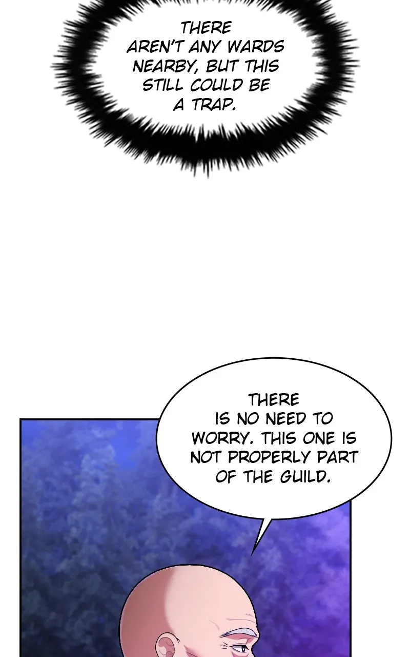 Paranoid Mage Chapter 61 page 47 - 