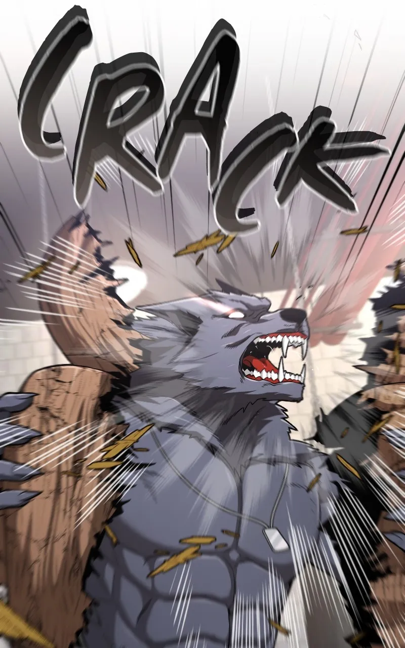 Paranoid Mage Chapter 64 page 84 - 