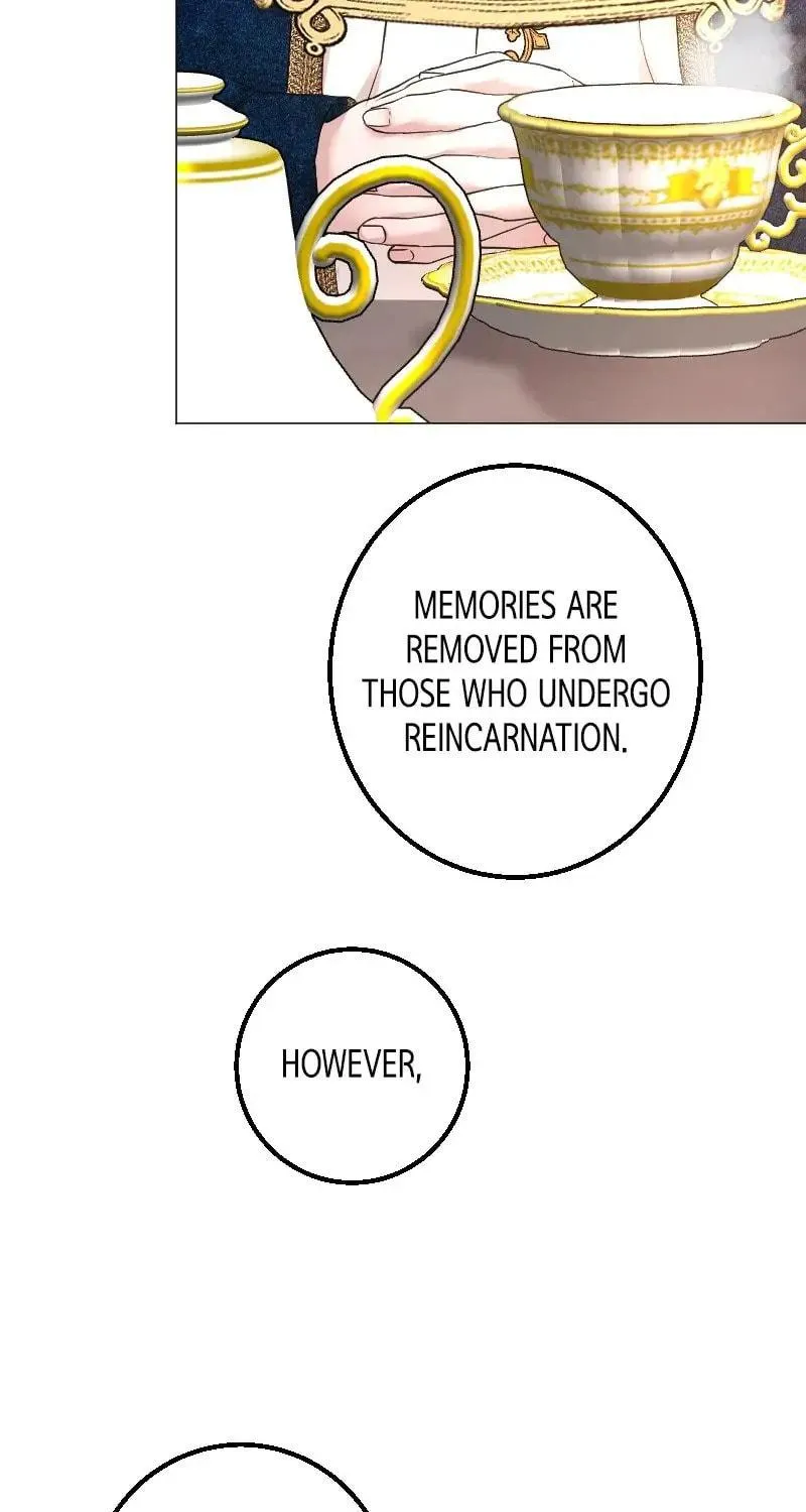 Parting Ways With Destiny Chapter 4 page 129 - 
