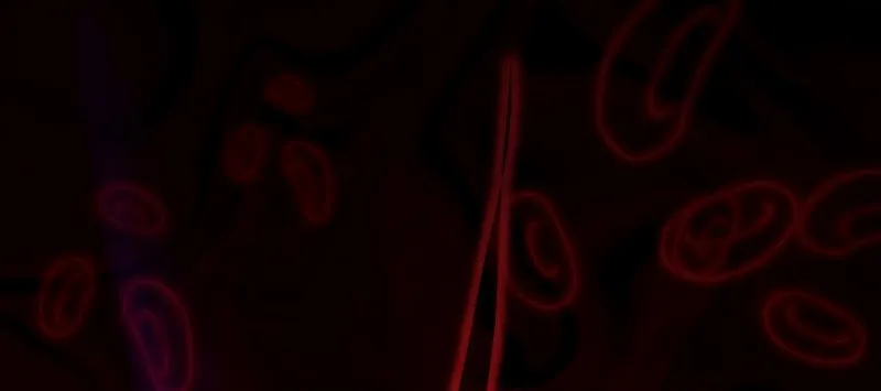 Past Life Regressor (2022) Chapter 121 page 56 - 
