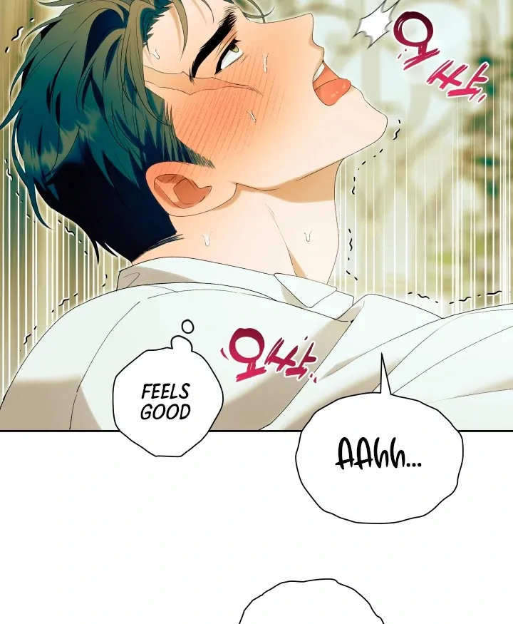Pátera Chapter 9 page 13 - 