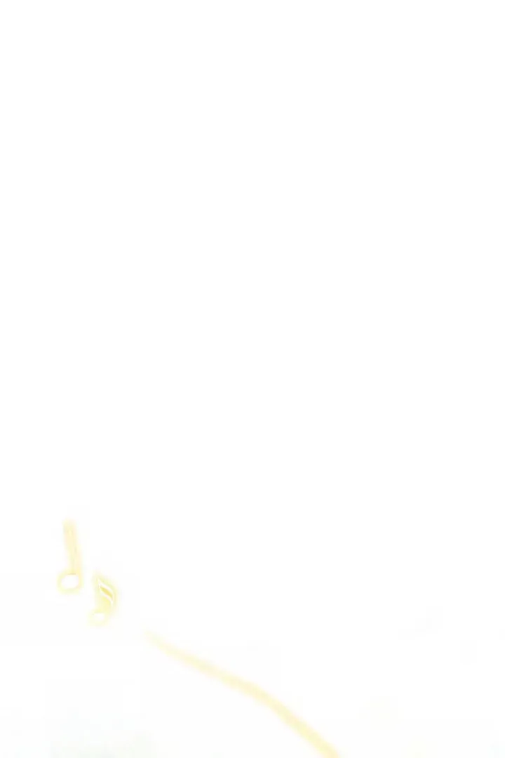 Patera Chapter 1.2 page 35 - 