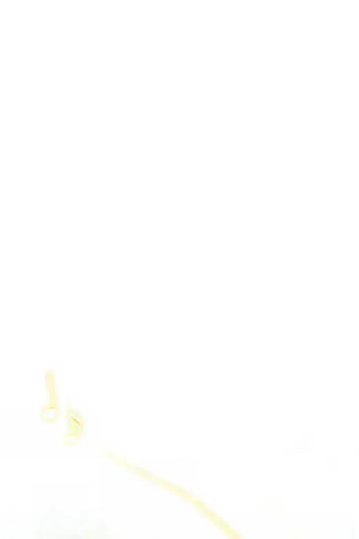 Patera Chapter 1.5 page 35 - 