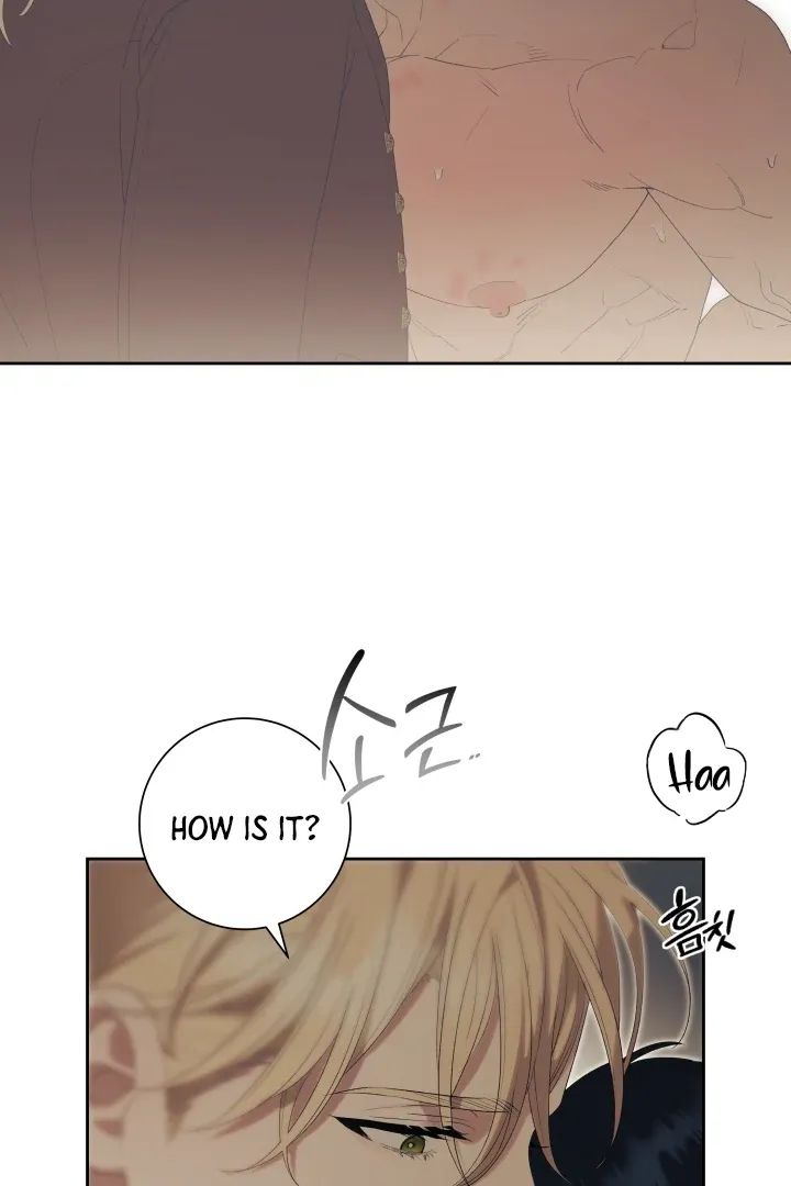 Patera Chapter 11 page 66 - 