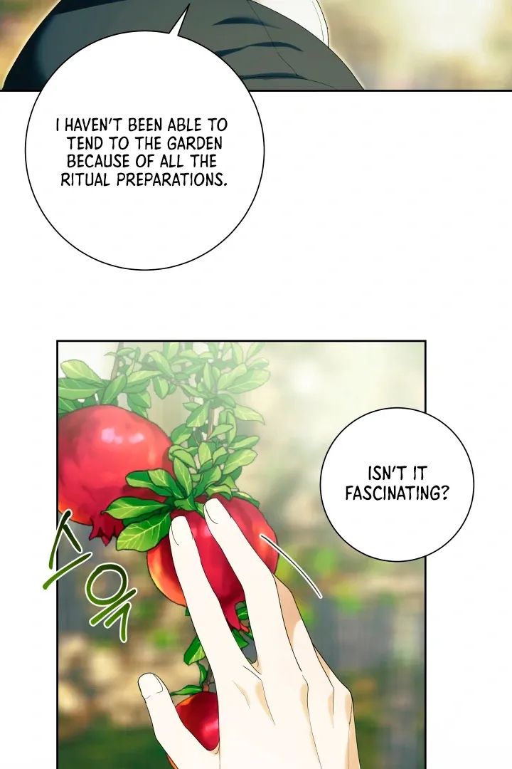 Patera Chapter 7 page 63 - 