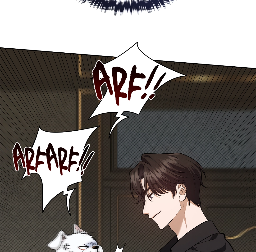 Paws & Claws Chapter 0 page 17 - 