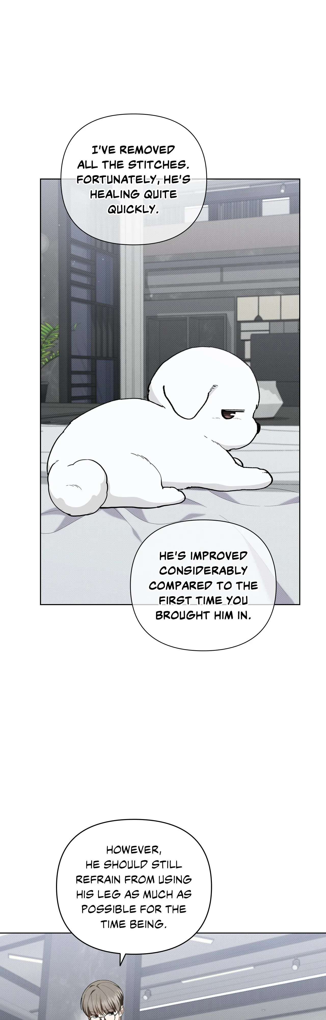 Paws & Claws Chapter 13 page 39 - 