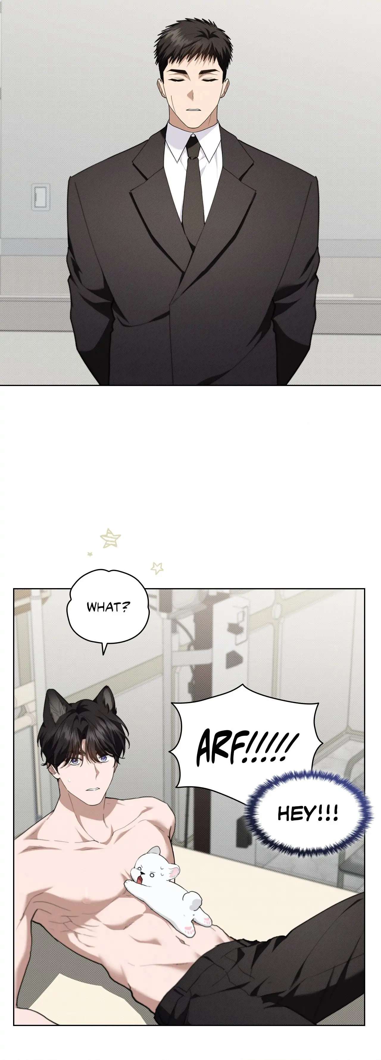 Paws & Claws Chapter 21 page 41 - 
