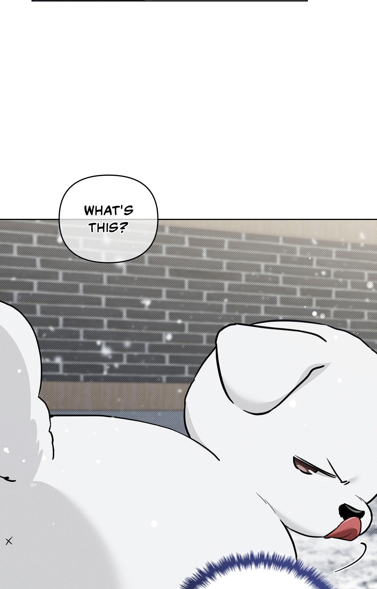 Paws & Claws Chapter 35 page 90 - 